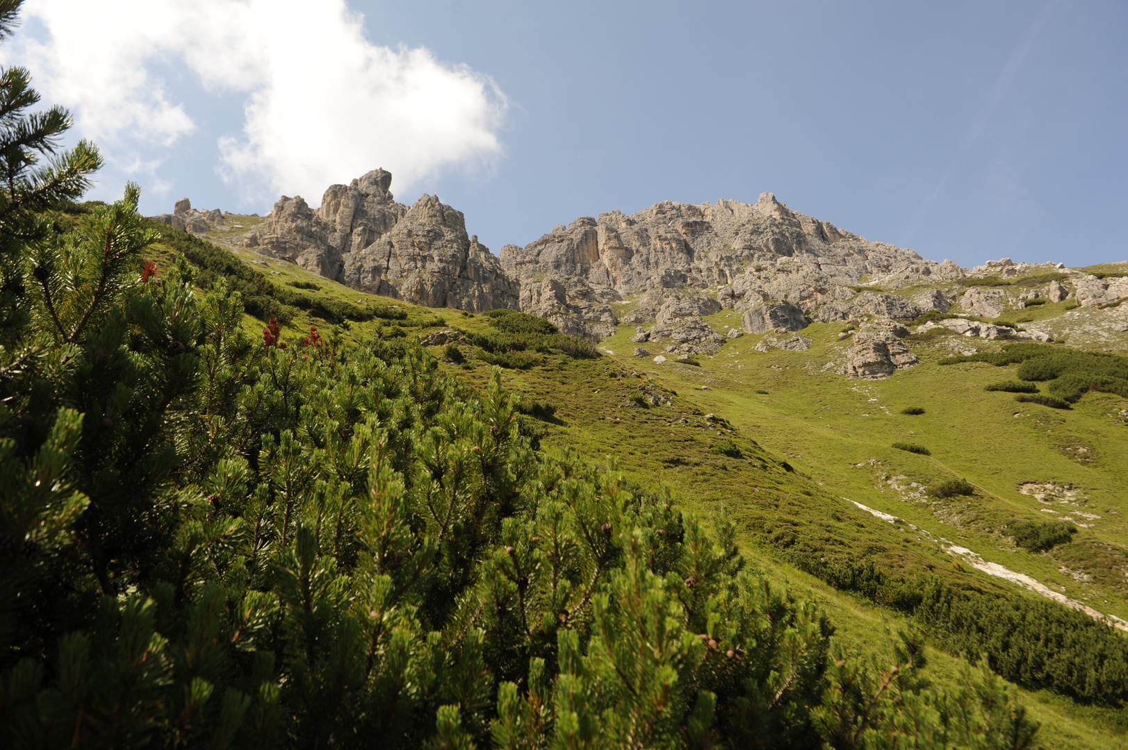 Elferkofel 2505 m