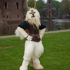 ELFIA 2014 in Haarzuilens