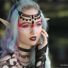 Elfia 2016 ... größtes Fantasyfestival Europas 