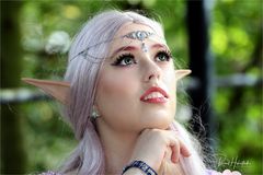 Elfia 2018 in Arcen ...