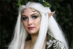 Elfia 2018 in Arcen ...