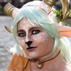 Elfia 2019 in Utrecht Kasteel de Haar .... 