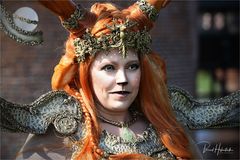  Elfia 2019 in Utrecht Kasteel de Haar ....