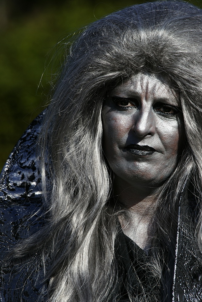 Elfia Arcen 2013 01