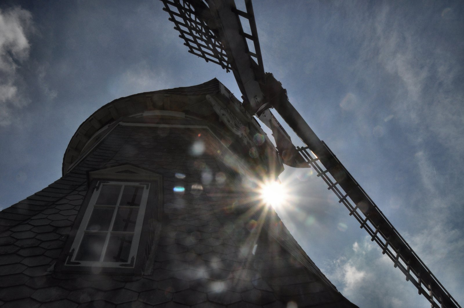 Elfriede im Sonnenlicht