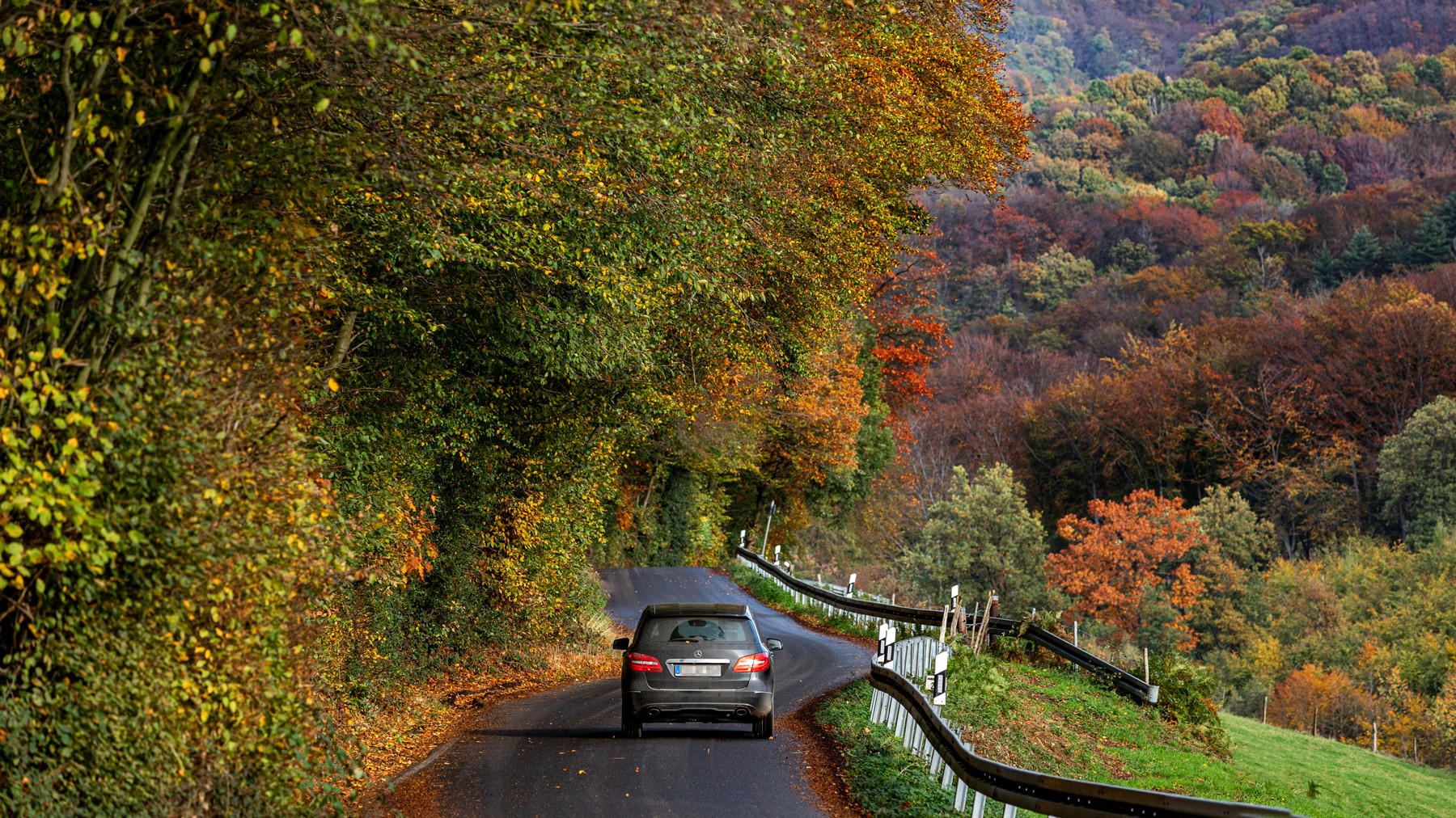 Elfringhauser Schweiz