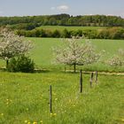 Elfringhauser Schweiz (Deilbachtal)