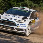 Elfyn Evans & Daniel Barritt