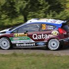 Elfyn Evans im Fiesta R5