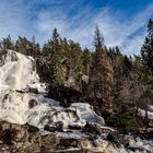 Elgåfossen