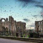 Elgin Cathedral