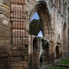 Elgin Cathedral Detail