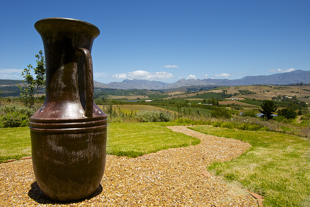 Elgin: Charles Fox Cap Classique Winery