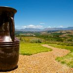 Elgin: Charles Fox Cap Classique Winery