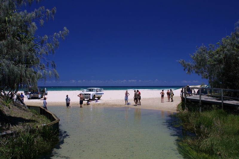 Eli Creek auf Fraser Island