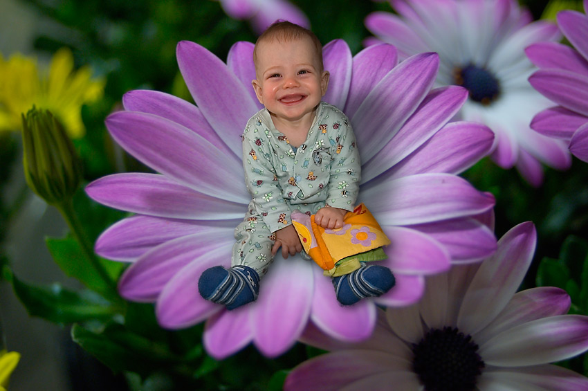 Eli in der Blume