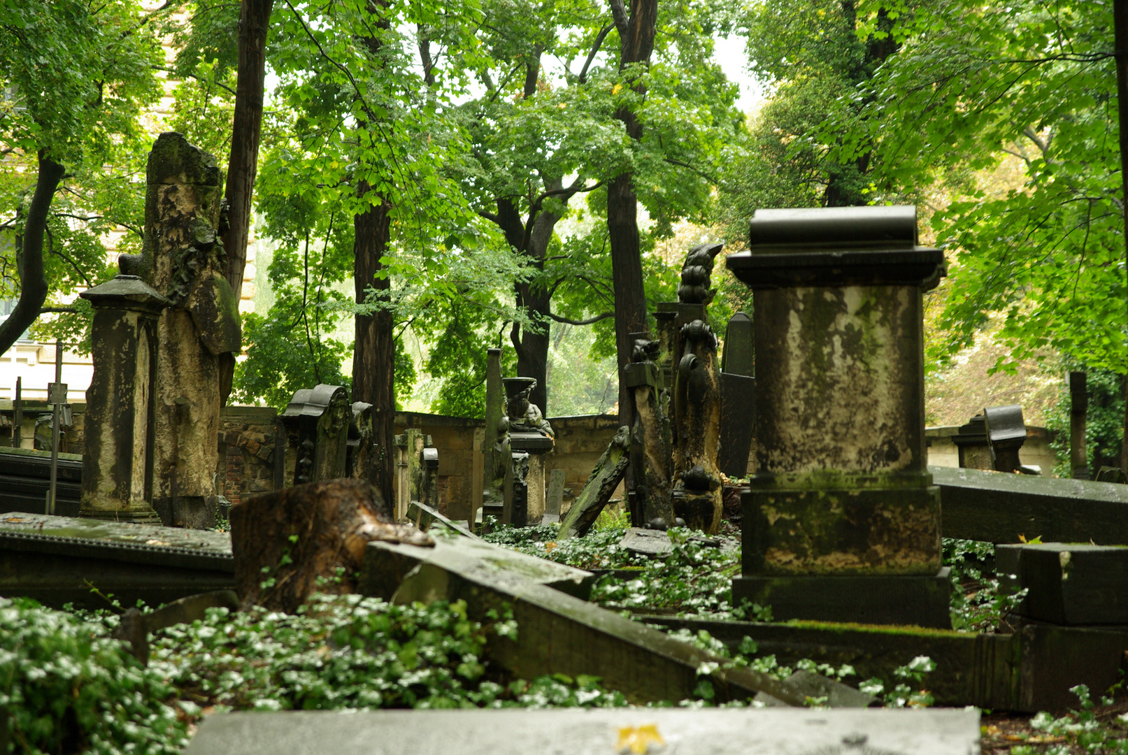 Eliasfriedhof_4