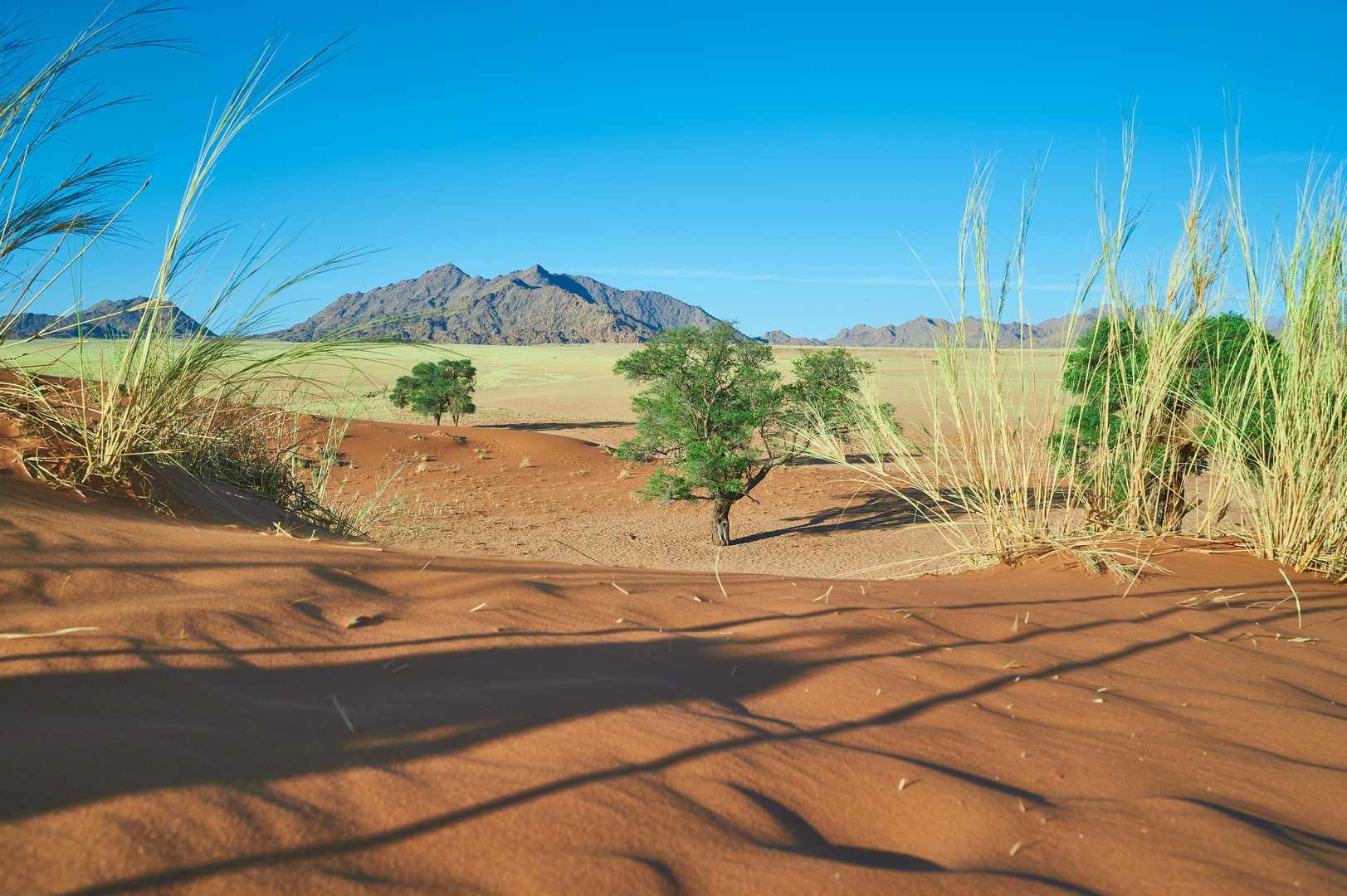 Elim Düne Namibia