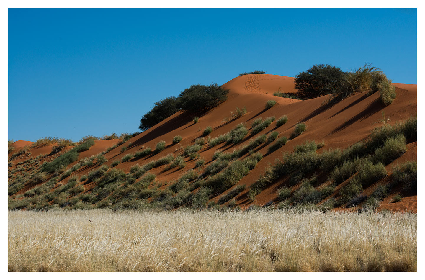 && Elim Dune my first dune &&