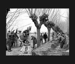 Elio Ciol - Sul set del film -Gli ultimi- c , Coderno 1962