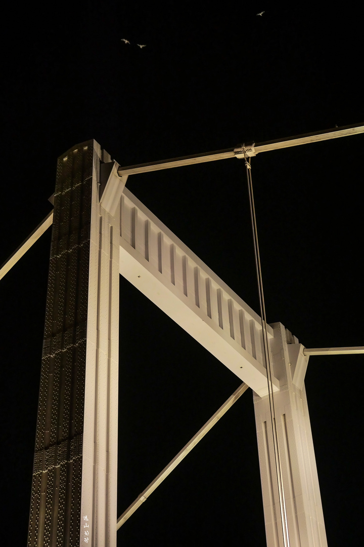 Elisabeth Bridge at night,Budapest