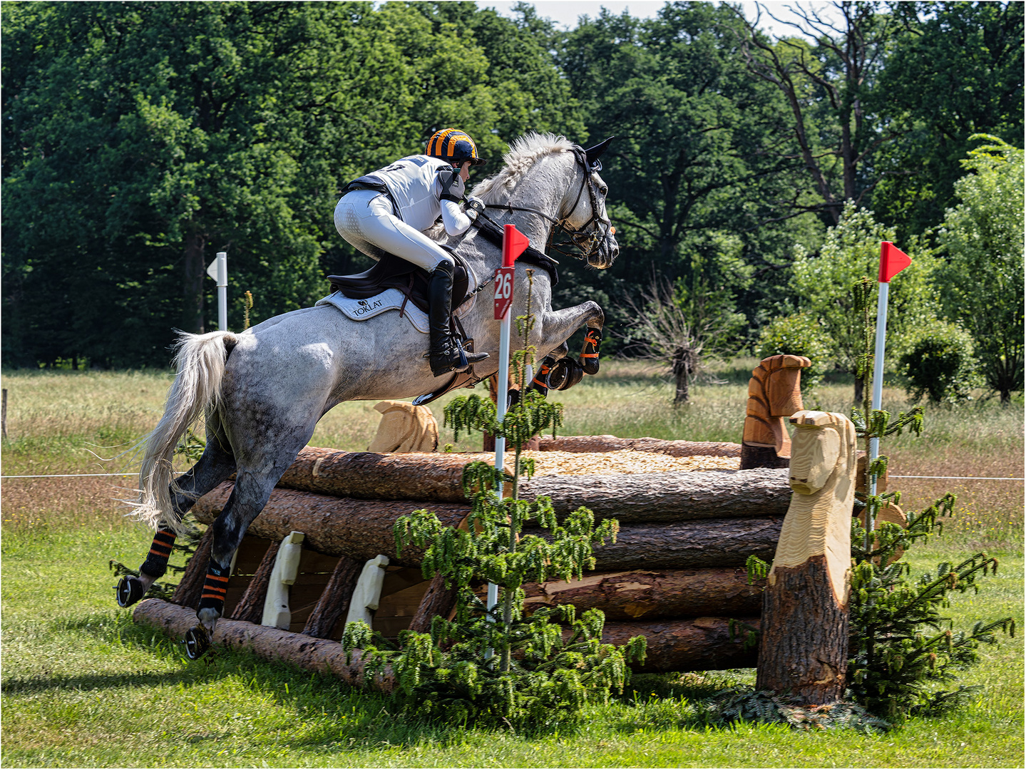 Elisabeth Hallidy-Sharp (USA) mit Cooley Quicksilver