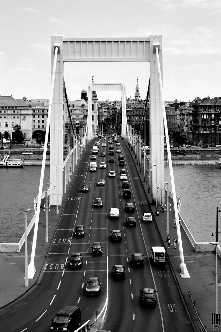 Elisabethbrücke in Budapest