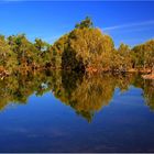 * Elizabeth River Qld.*