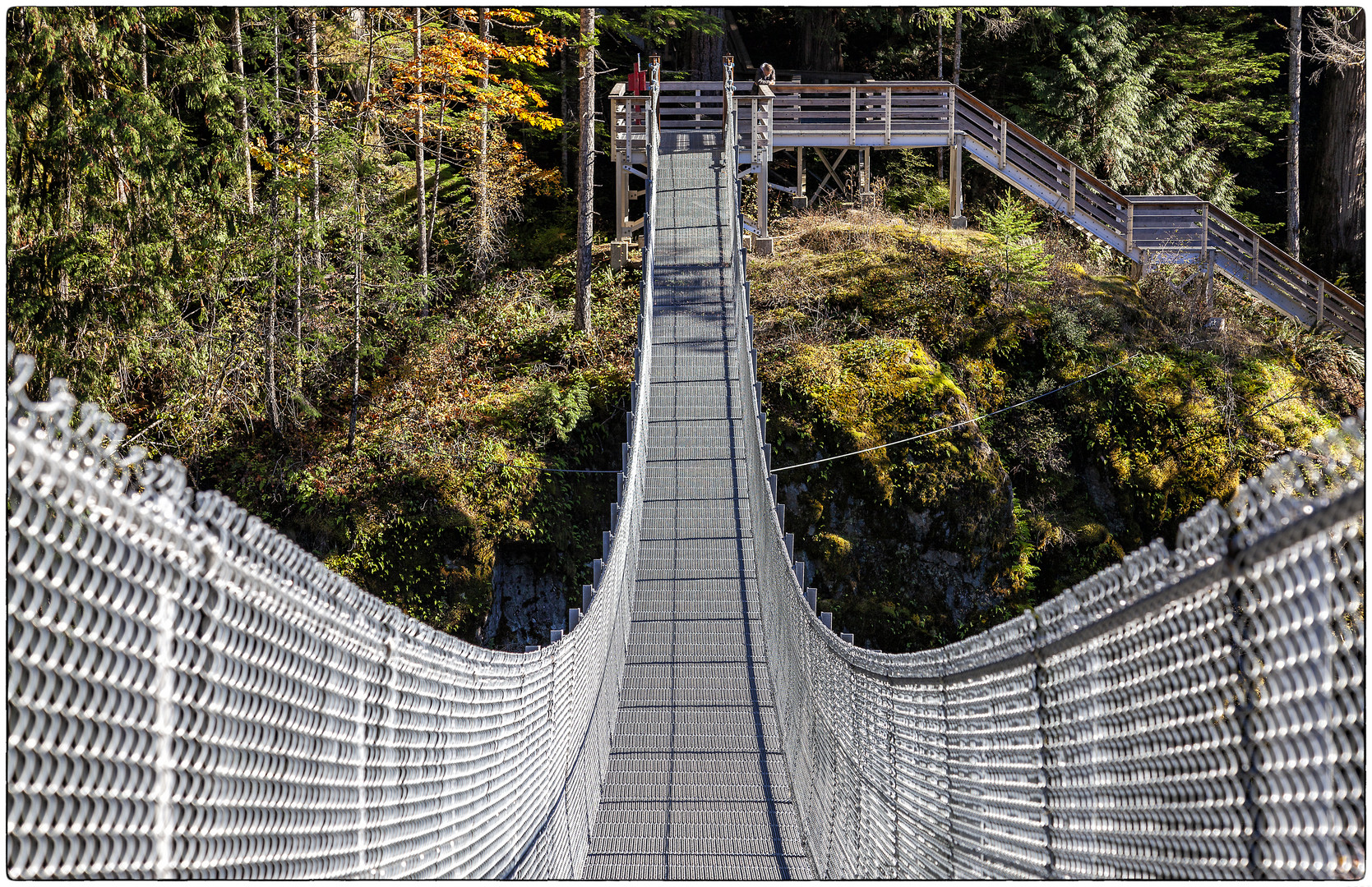 Elk Falls Suspension Bridge