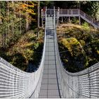 Elk Falls Suspension Bridge