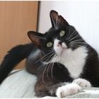 User Profile Photo
