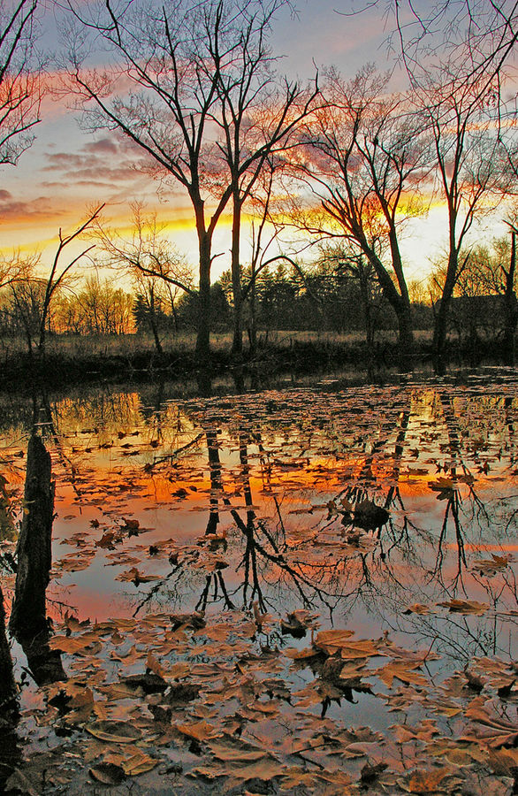 Elkhorn Creek, KY