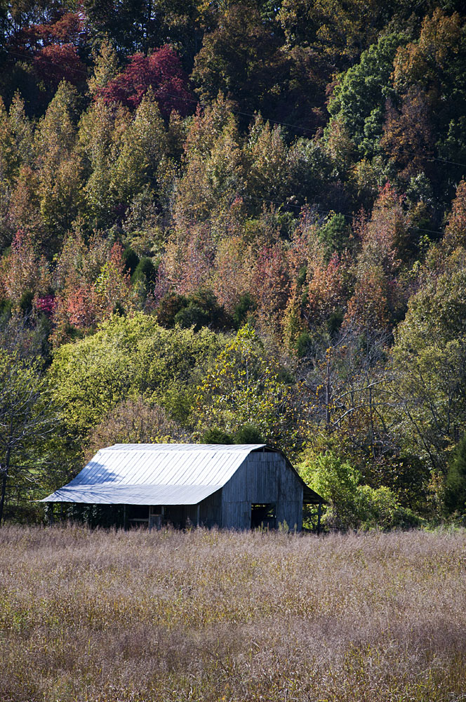 Elkmont Fall Colors