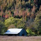 Elkmont Fall Colors