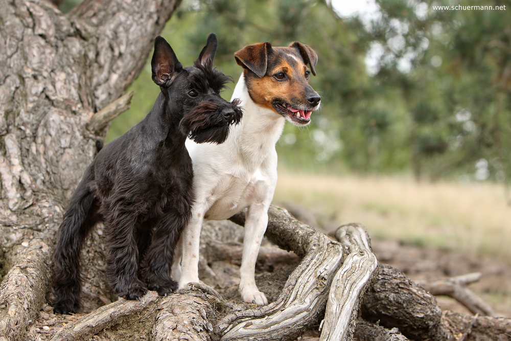 Ella + Lucy - andere Seite