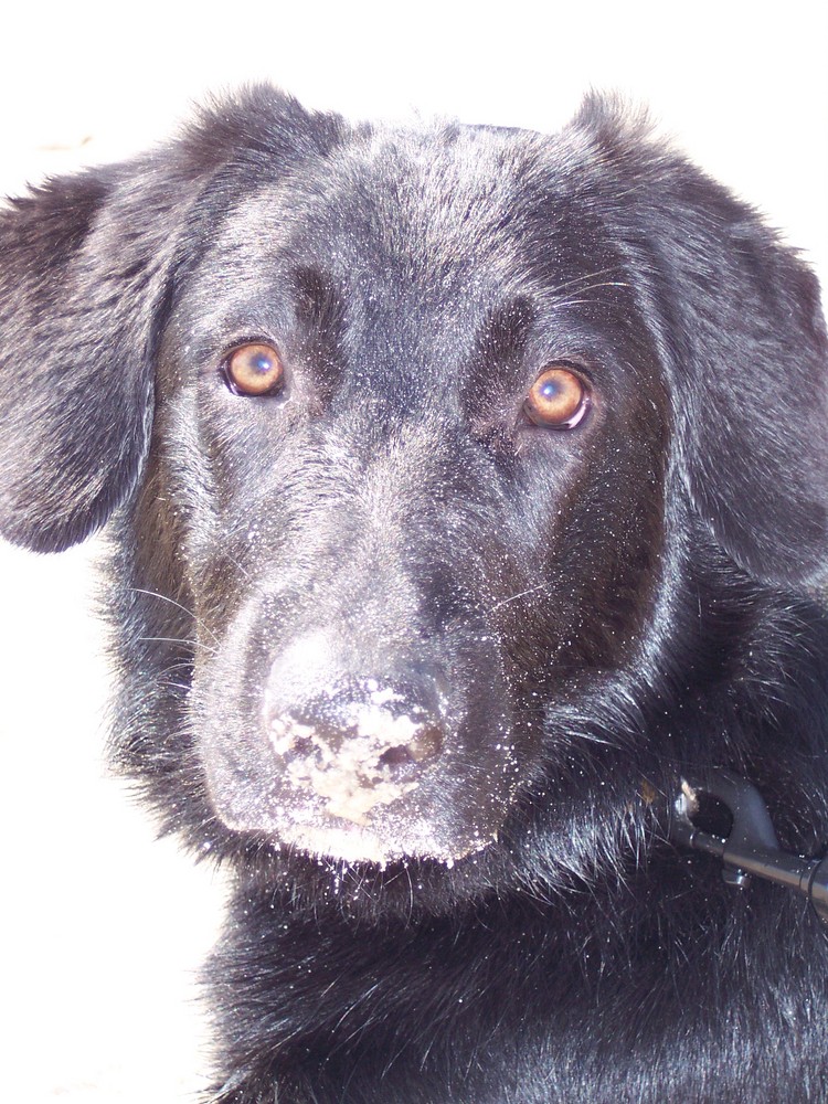 Ella nach einer Schnupperaktion am Strand