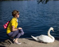 Ella y el cisne