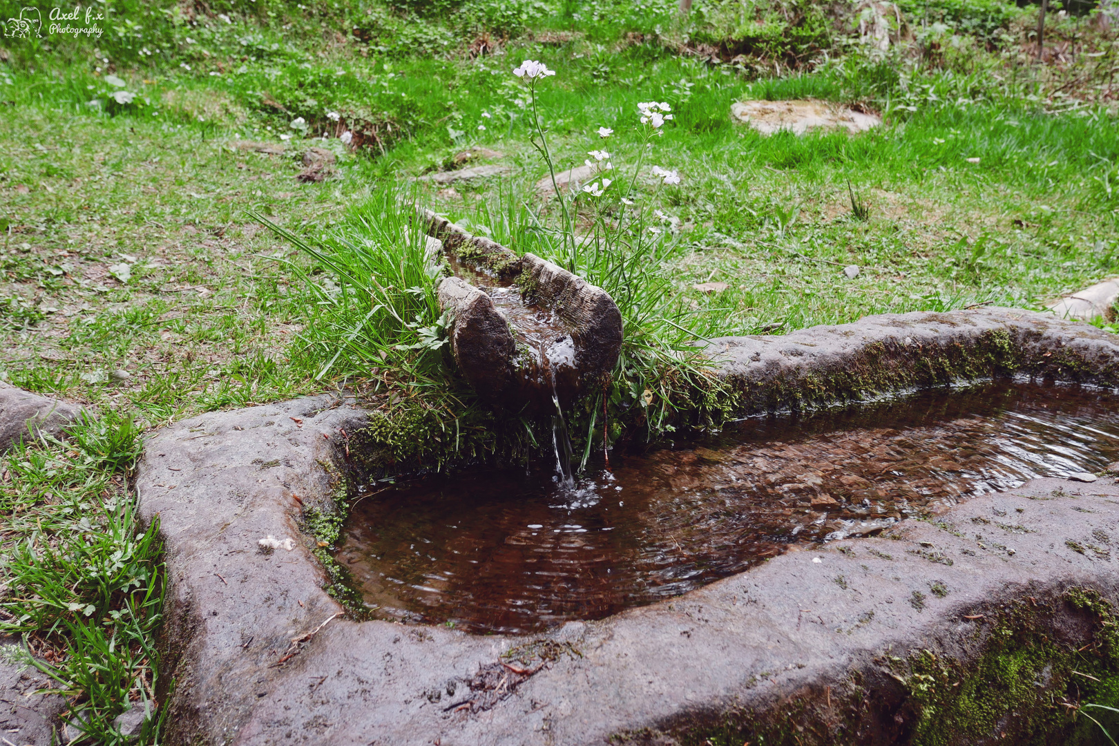 Ellbachbrunnen