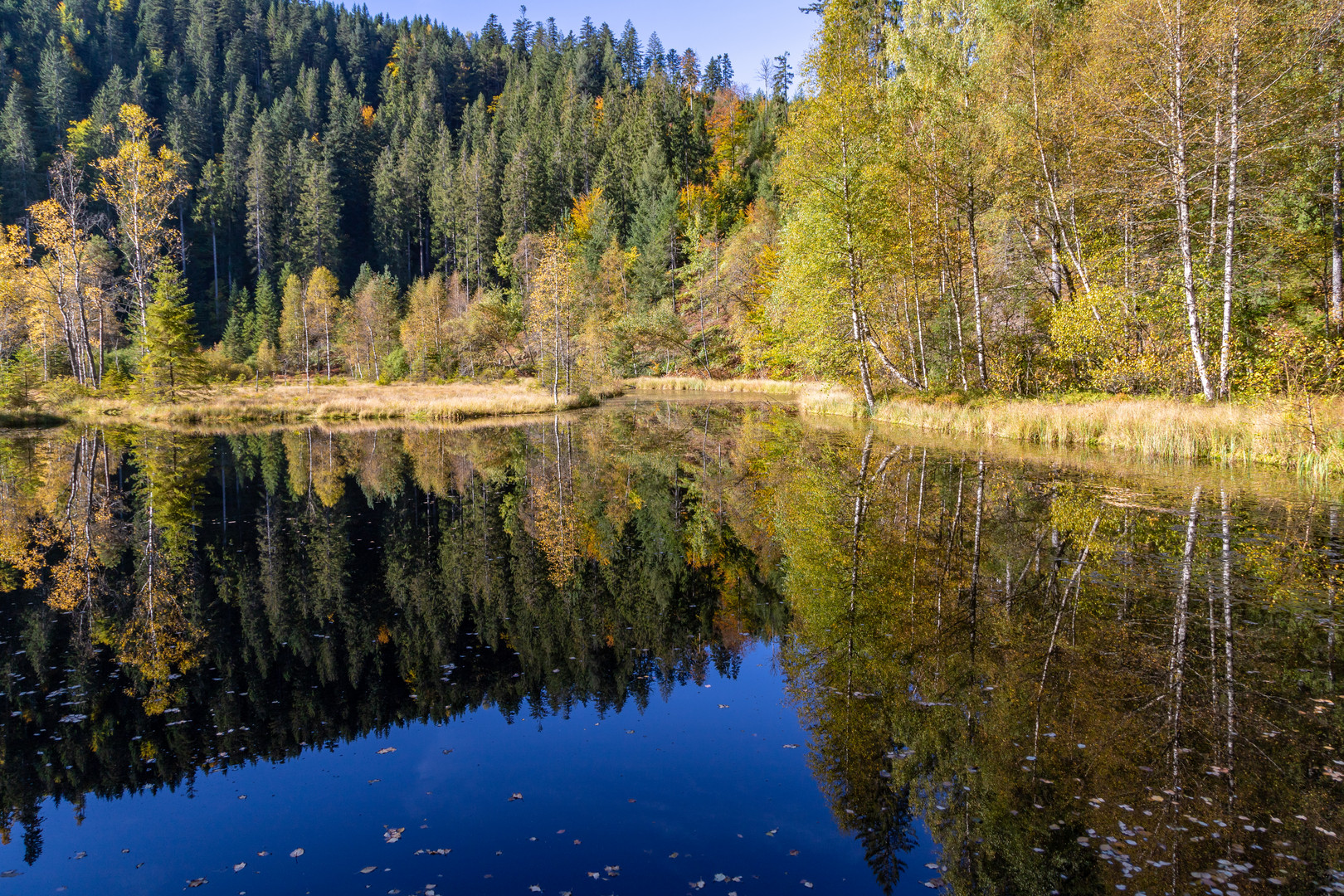 Ellbachsee