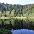 Ellbachsee beim Kniebis