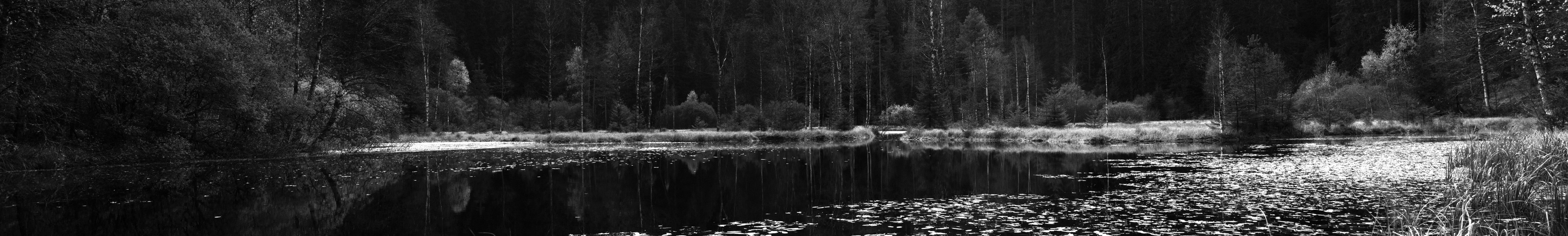 Ellbachsee im Herbst