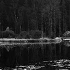 Ellbachsee im Herbst