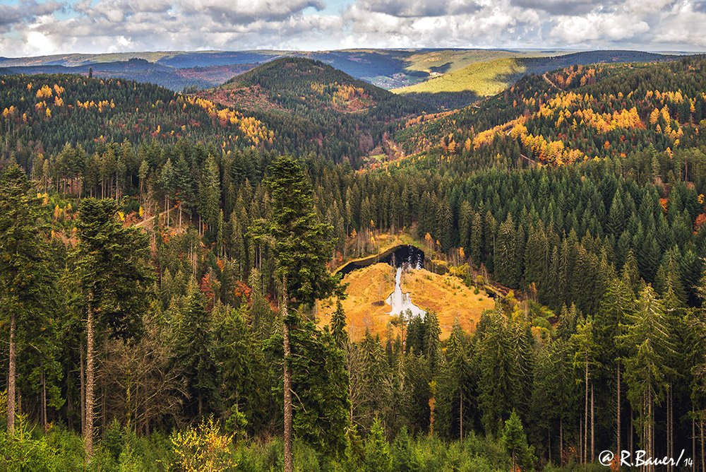 Ellbachsee / Nordschwarzwald