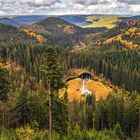 Ellbachsee / Nordschwarzwald