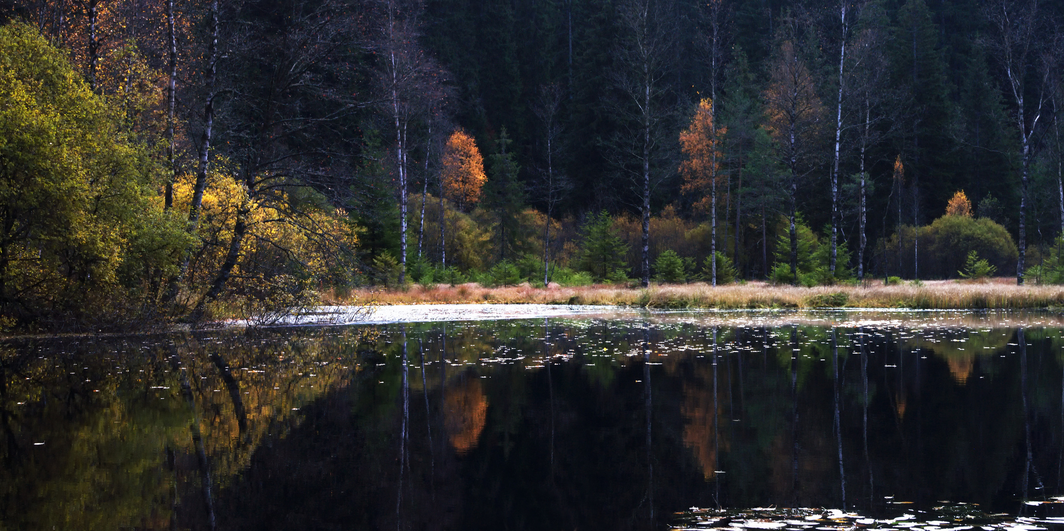 Ellbachsee November