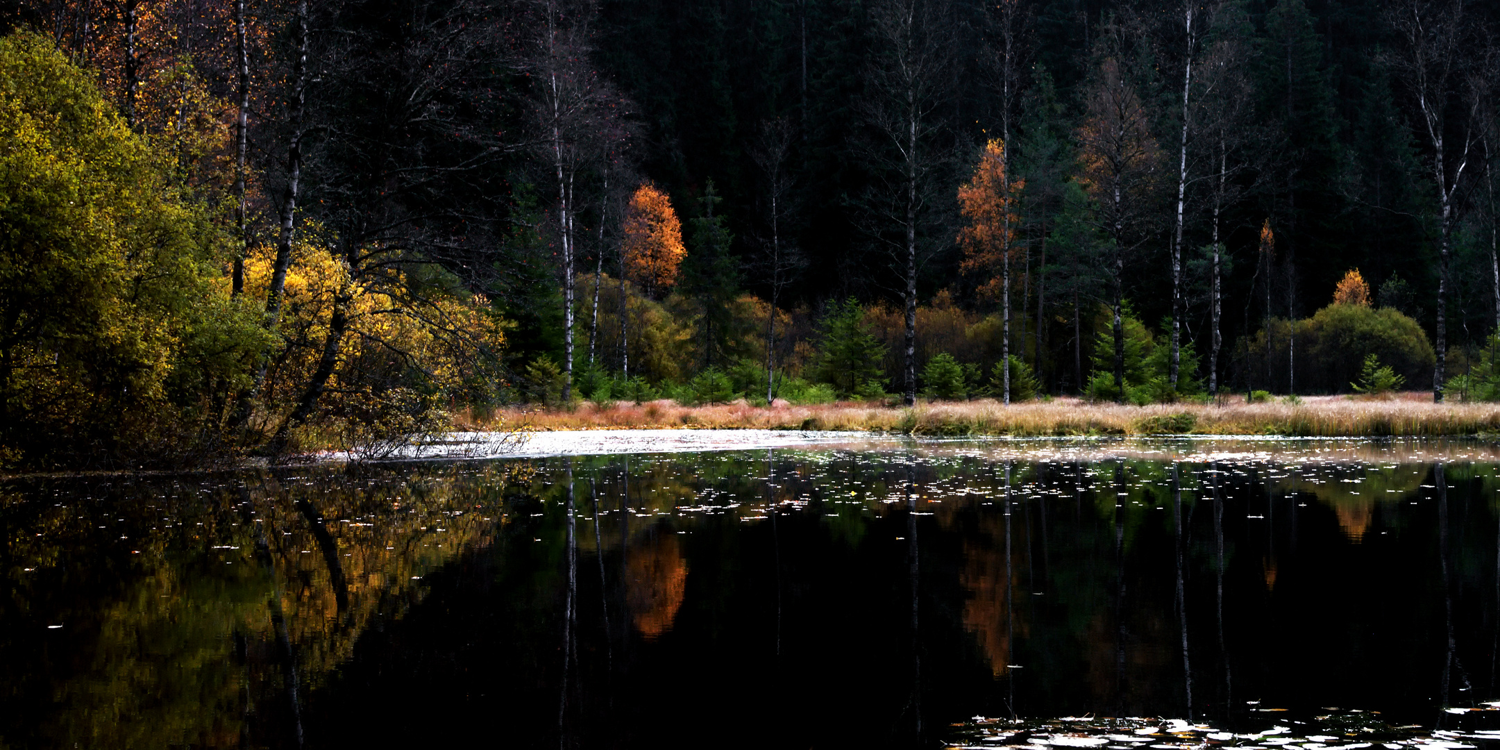 Ellbachsee ohne blaue Birken