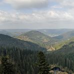 Ellbachseeblick-Panorama