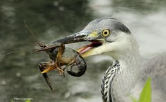 elle n'est pas belle ma pêche?