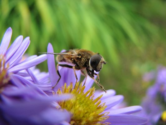 elle se refait une petite beauté..