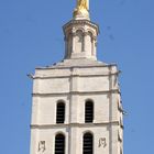 Elle veille sur le Palais des Papes